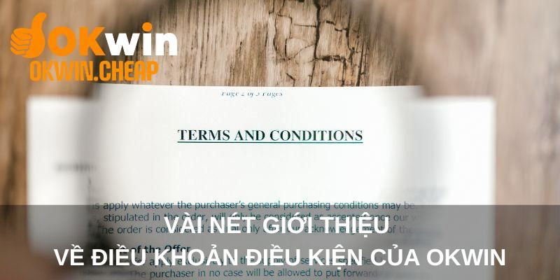 Vài nét giới thiệu về điều khoản điều kiện của OKWIN
