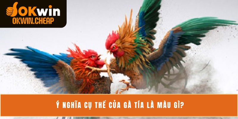 Ý nghĩa cụ thể của gà tía là màu gì?